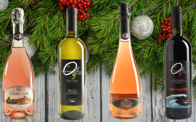 A Natale regala GCube Wine